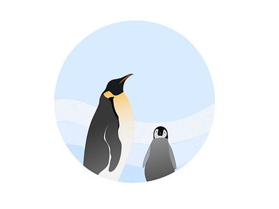 30 days of illustration- Day 23 design digital art flat illustration flatdesign illustration minimal penguin september vector