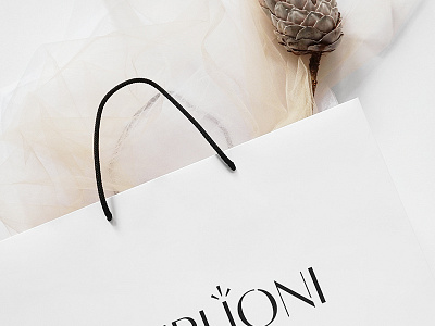 Package for Ferlioni Family Clothes behance brandidentity brandingidentity corporateidentity designlogo graphicsdesign identity identitydesign logo logotype