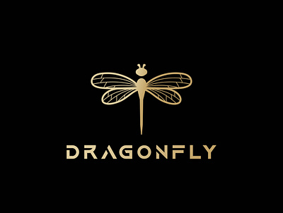 dragonfly dragonfly