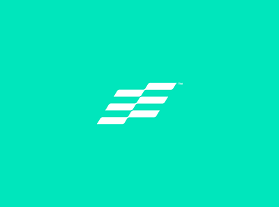 EE adobe art branding concept creative design digital flat graphic design illustrator lettermark logo vector
