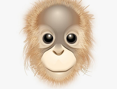 Orang Utan animal illustration illustration orangutan vector