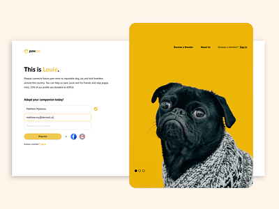 Pawpal - Adopt, Don't Shop adobexd dailyui dog login page pet signup page uiux webdesign website webui