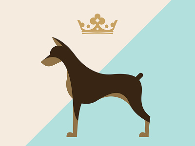 Dog crown dog