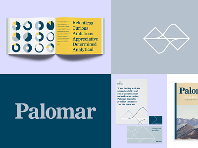 Palomar brand branding data design insurance mountain nature