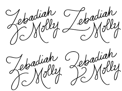 Z 's lettering typography wedding z