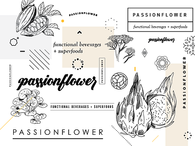 Passionflower botanical brand design illustration logo passionflower