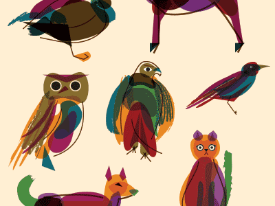 all animated annemals animal cat color design illustration owl