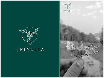 "Trinolia" Botanical Line art Logo design