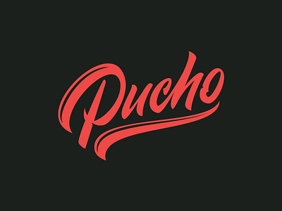 Pucho brush calligraphy lettering letters logo logotype typography vector