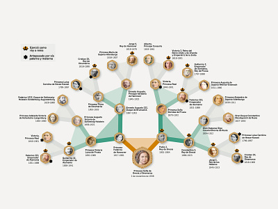 Infographic Family tree - infographics design