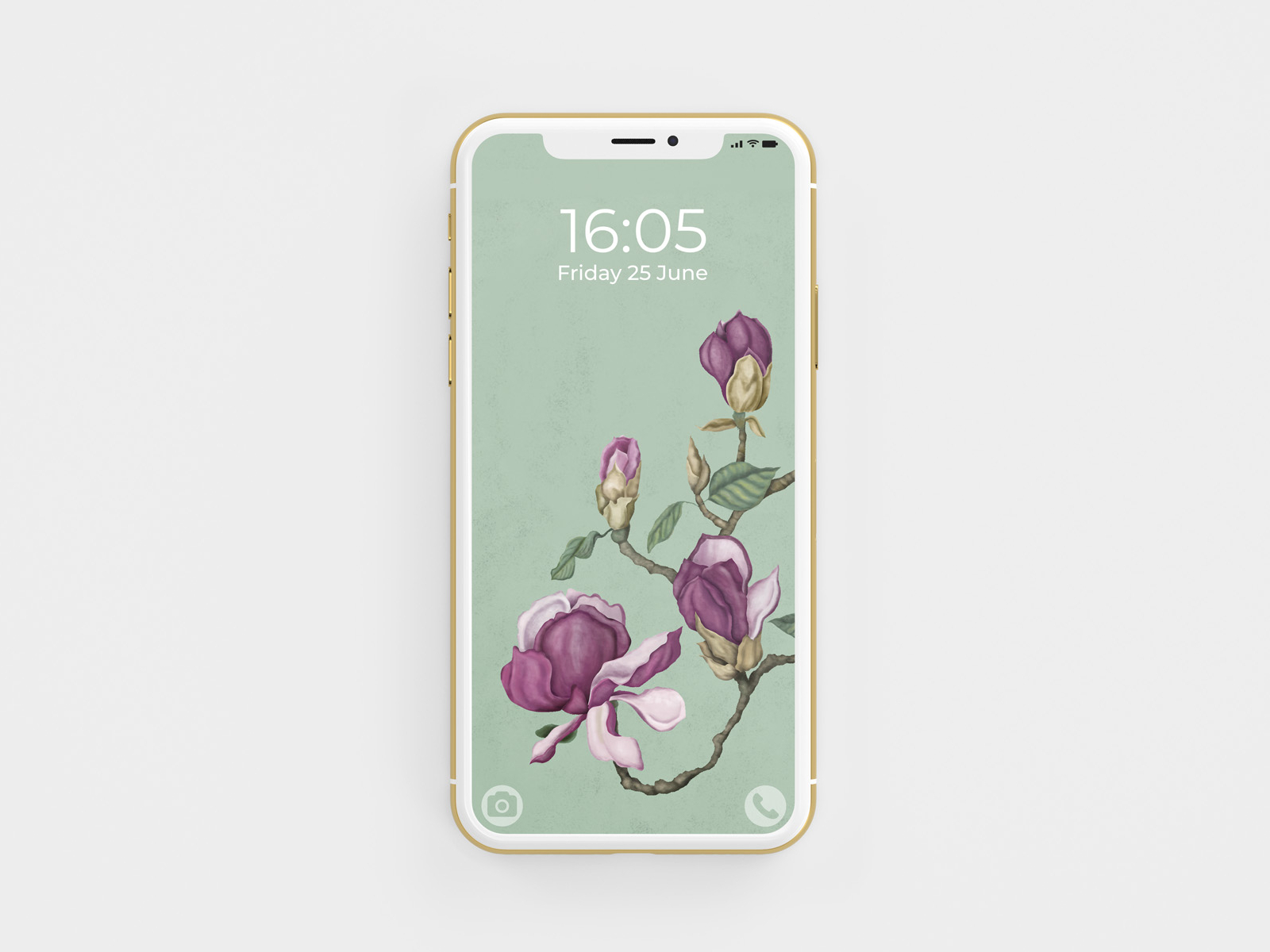 Botanical illustrated wallpaper for iPhone by Raquel Feria Legrand on ...