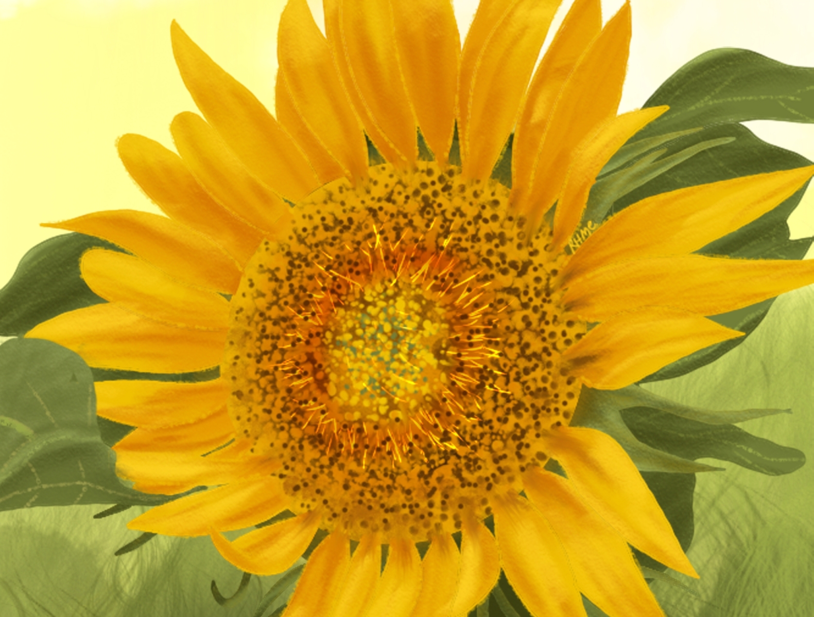 Sunflower By Erina Andriyani On Dribbble