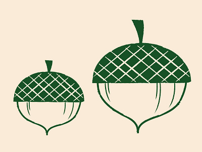 Acorns acorns autumn brushes illustration illustrator