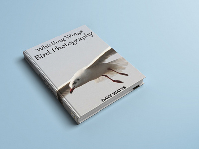 Book Cover design book cover design graphic design photography publication design