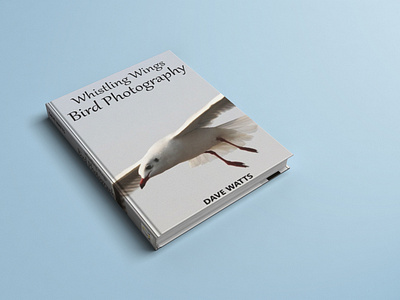 Book Cover design