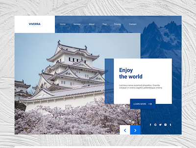 Travel Website design travel ui ux