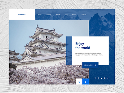 Travel Website