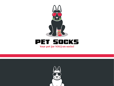 pet socks 1