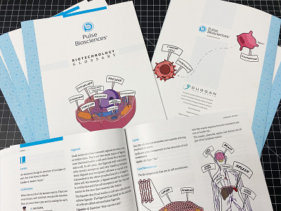 Biotechnology Glossary — Booklet cover & layout