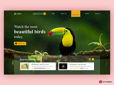 Kiwiki- Bird Sanctuary Website Design