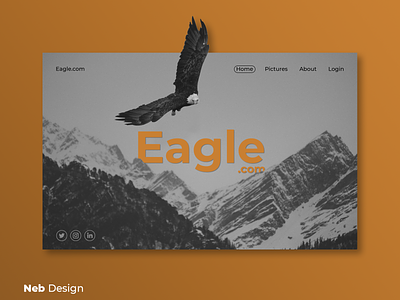 Eagle web design design eagle graphic designer gray neb design social media design ui ui design web web design website website design