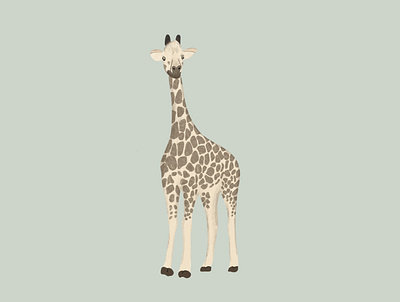 Giraffe giraffe illustration procreate zoo