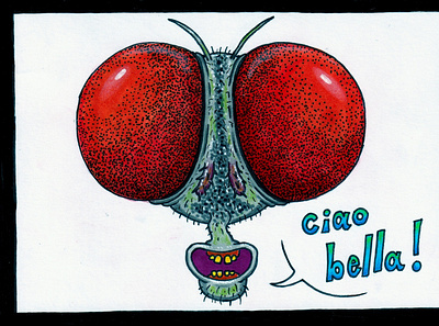 Ciao bella! colored pencils drawing fly illustration ink markers mosquito