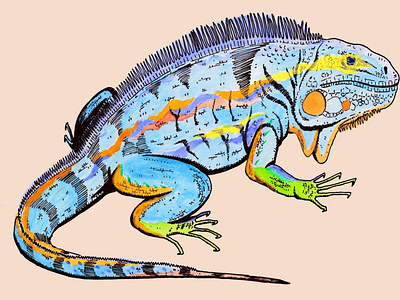 Barcelona barcelona drawing el drac gaudi guel iguana illustration ink watercolor