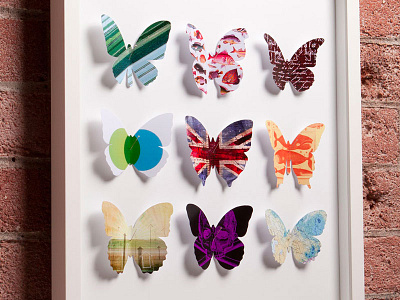 Papillons Graphiques: The Graphical Butterfly Collection artwork butterfly chris waind ilustration prints vancouver