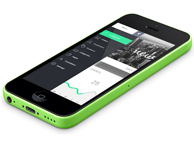 EKOS Global mobile clean design flat green icon interface ios iphone minimal mobile simple ui