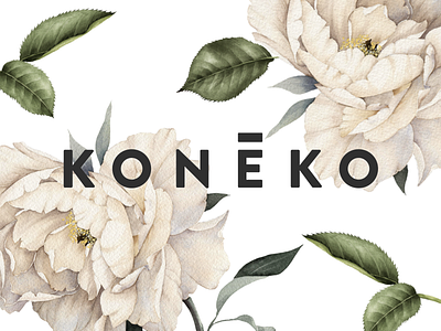 Koneko - Branding & Logo Design