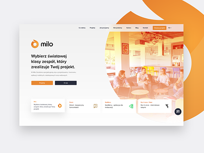 Milo Solutions - project of new website