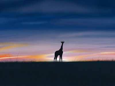 Giraffe Silhoutte illustration procreate procreate app sketch