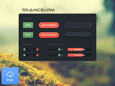 Elements Trance FM [PSD] button elements flat freebie music psd simple switch trance
