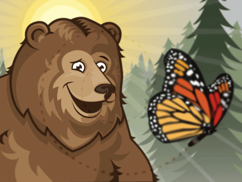 Happy Bear bear butterfly illustration