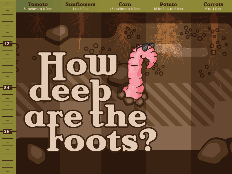 Root Depth illustration little farm hands minnesota minnesota state fair worm