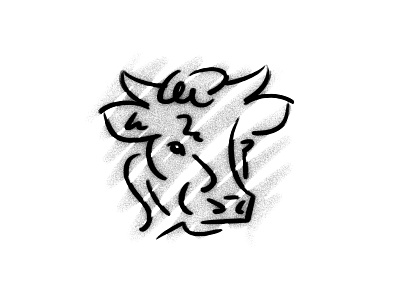 Bull bull illustration line texture