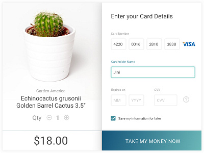 Daily UI #002 Credit Card Checkout Page
