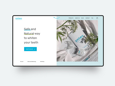 Minimal Web Design for Teeth Whitening Kit clean creative design hero section landing page minimal modern web design