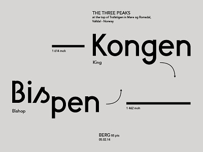 Berg Font font typography