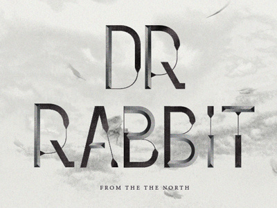 Dr Rabbit illustration photo print typography