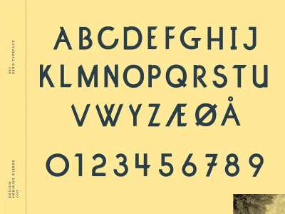 Berg Font typography