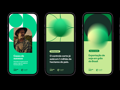 Controle Certo - Projeto Visual de Identidade de Marca