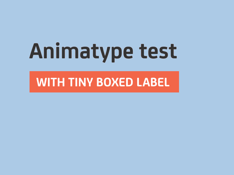 Type animation test animation test type