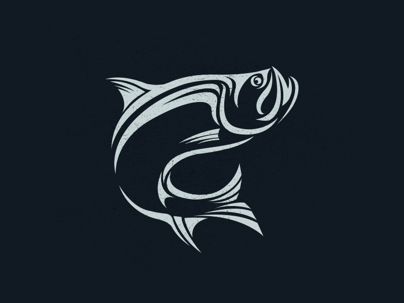 Download Tarpon by Trevin Steger on Dribbble