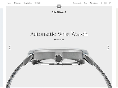 Brathwait - homepage brathwait imagery typography website