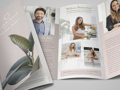 Illuminate Tri-Fold branding brochure design layout print design