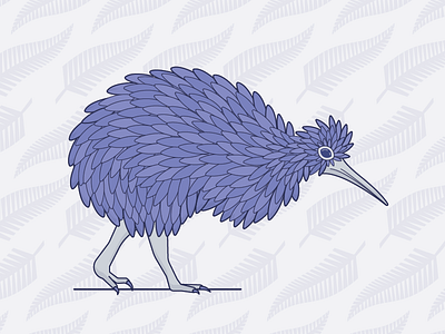 Kiwi Bird