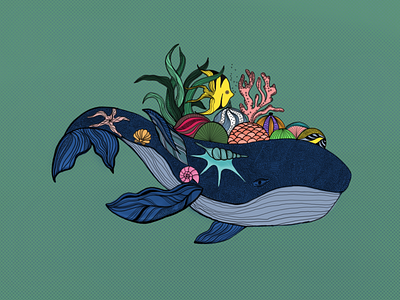 whale design illustration