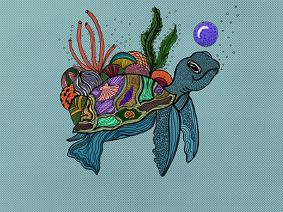 baby turtle design ecological illustration ocean turtle